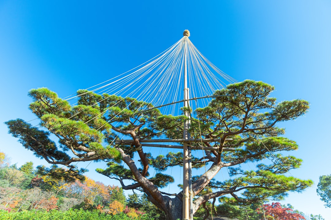 découvrez nos conseils et astuces pour réussir votre jardinage en hiver et protéger vos plantes du froid.