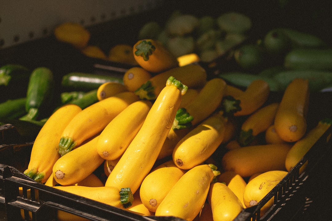 découvrez les meilleures méthodes pour conserver les courgettes fraîches plus longtemps grâce à nos techniques de préservation simples et efficaces.