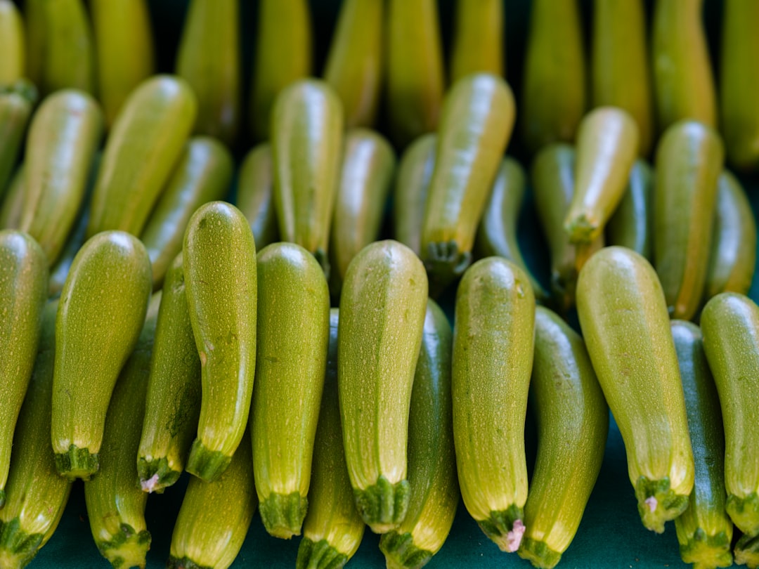découvrez des recettes délicieuses et saines à base de courgettes ! apprenez à cuisiner ce légume polyvalent, riche en nutriments, avec des idées variées pour tous les goûts. parfait pour vos plats d'été, vos salades ou vos accompagnements.